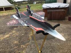 Twisted Hobbies 29&quot; EPP F-22 Raptor Jet