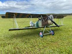 Pfalz D.X11    1/4 Scale     Wingspan 88”